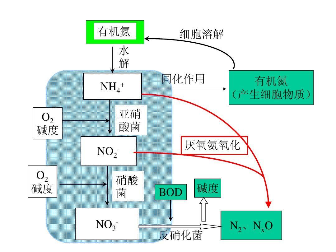 低(dī)溫廢水(shuǐ)生(shēng)物(wù)脫氮工(gōng)藝